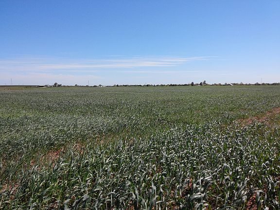 3rd image of County Road 19