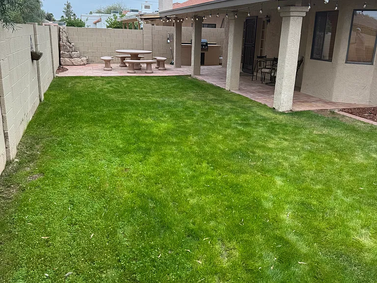 1163 E Manor Dr — Photo 21