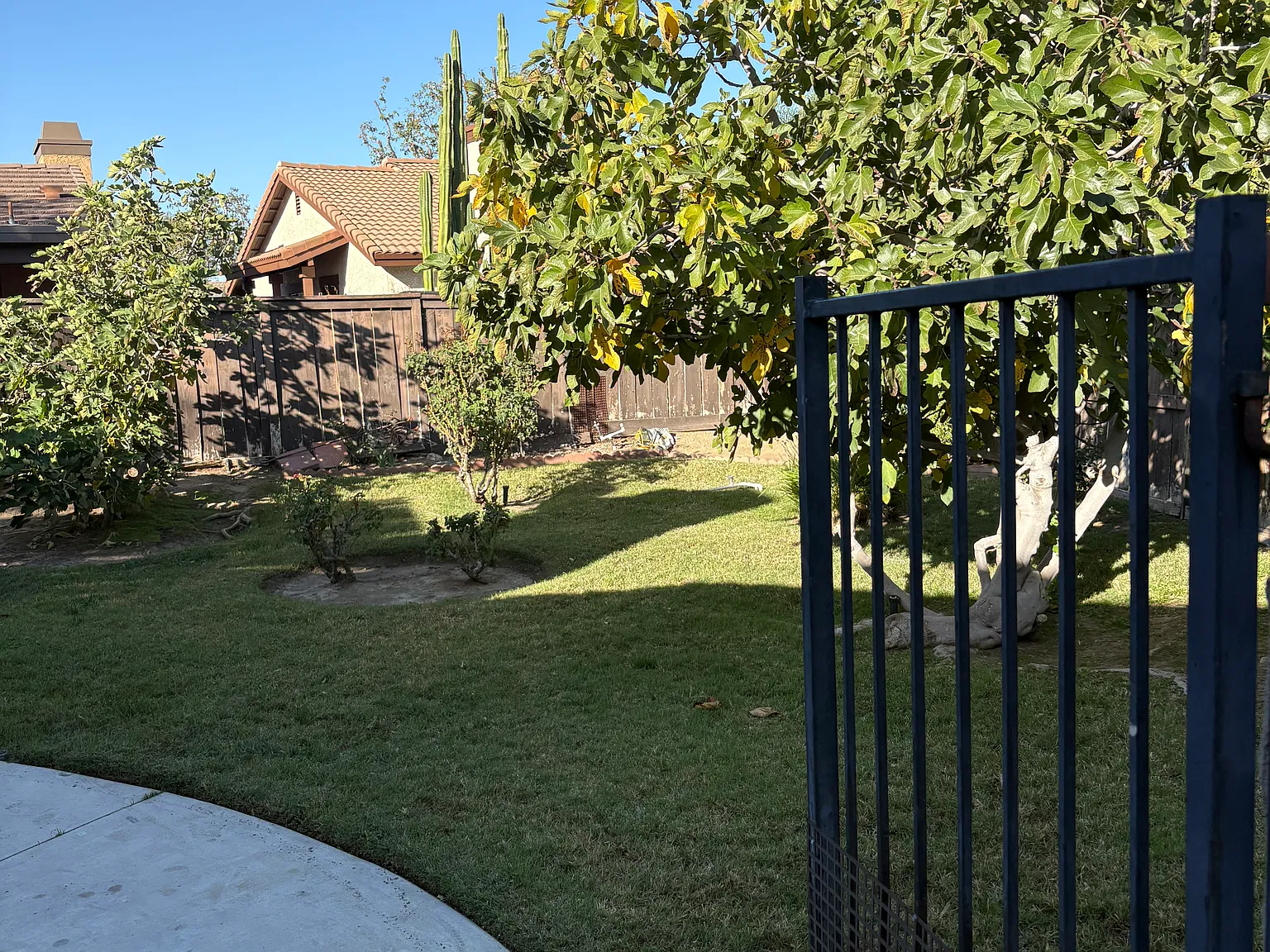 3 bed, 1128 sqft, $3,500 — Photo 3