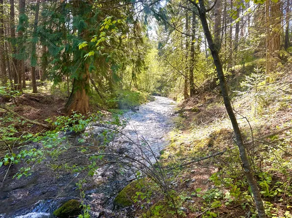 71 Osprey Dr E, Thompson Falls, MT 59873