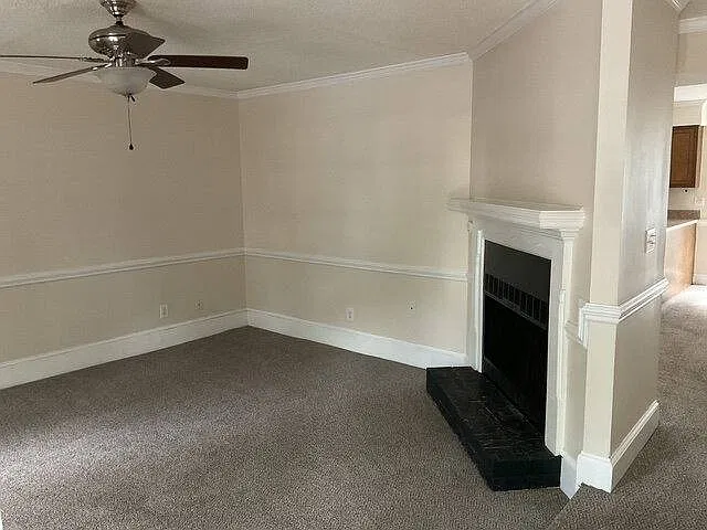 2905 C Sussex St in Greenville, NC 27834 — Photo 2