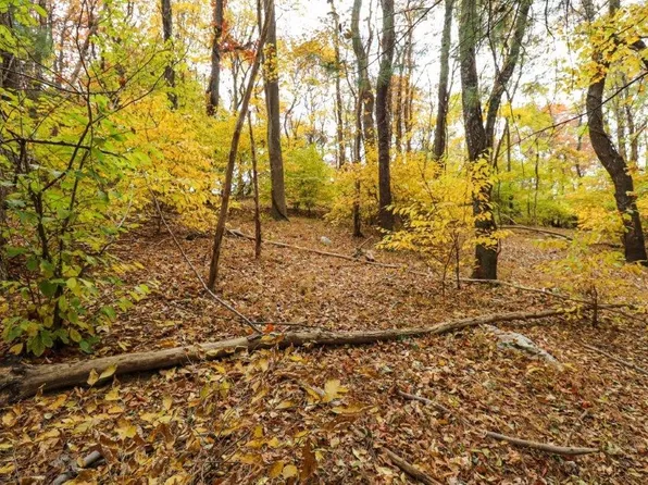 109 Old Hollow Trl, Fancy Gap, VA 24328