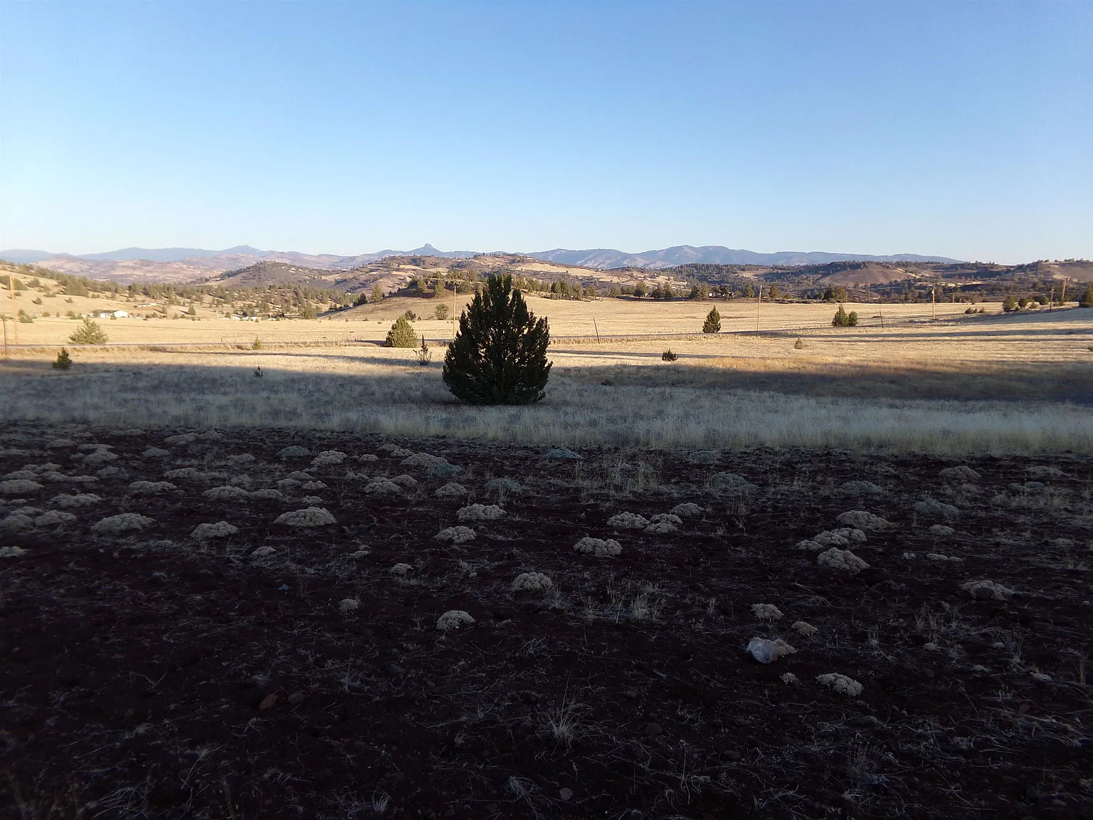 10105 Noel Rd photo 1