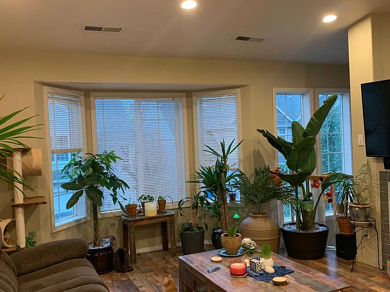 17872 Arbela Ct — Photo 3