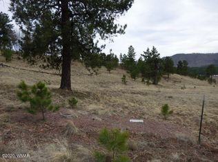 LOT 15 The Ranch At, Alpine, AZ 85920