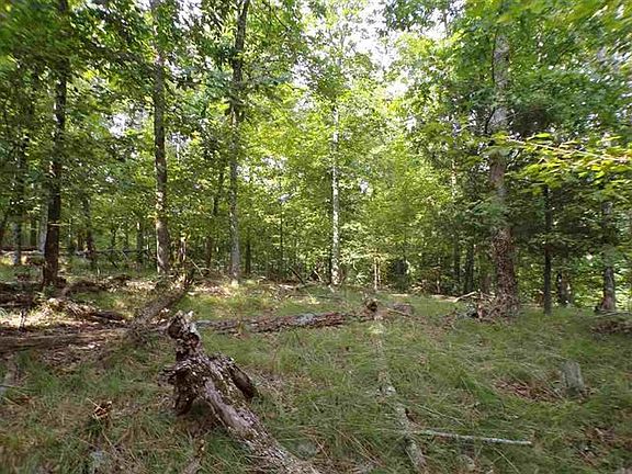 4th image of 1437 Echota Ln