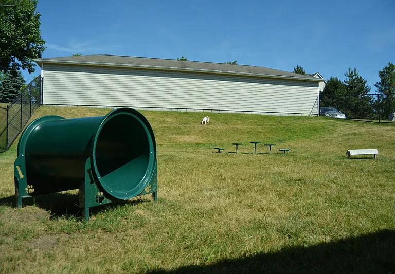 Let Your Dog Run Wild at our New Dog Park!