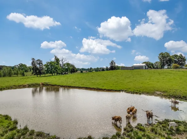 Fm 1519 N, Leesburg, TX 75451