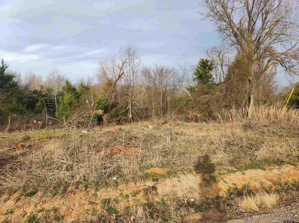 1 County Road 2310, Sulphur Springs, TX 75482