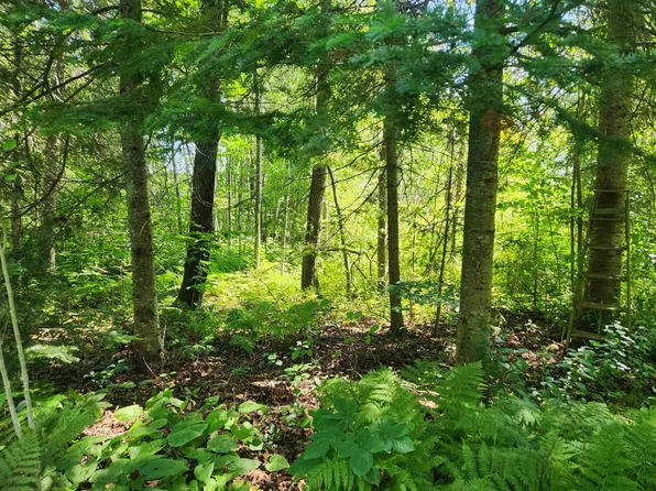 Creek Trl, Bayfield, WI 54814