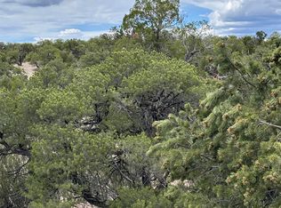 43 Abbe Spgs, Magdalena, NM 87825