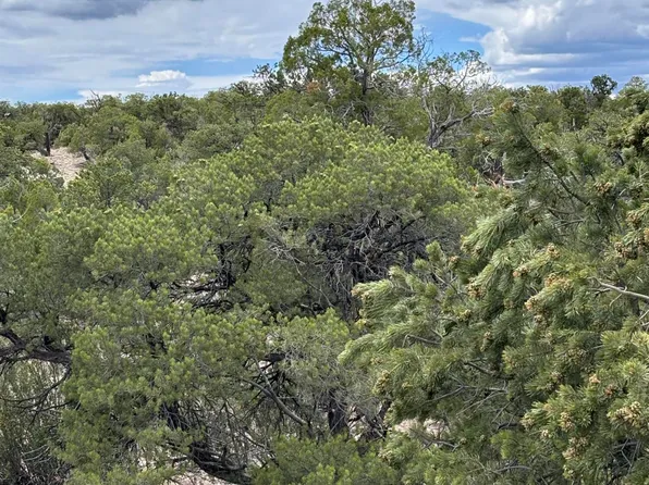 43 Abbe Spgs, Magdalena, NM 87825