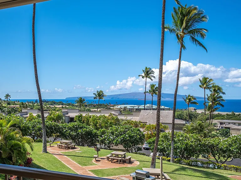 Wailea Ekolu Pl — Photo 42