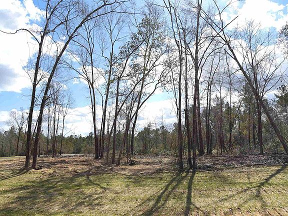 2nd image of 8 Creek Bluff Dr