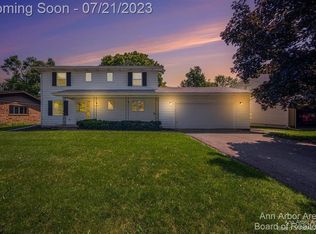 48 Chestnut Dr, Chelsea, MI 48118