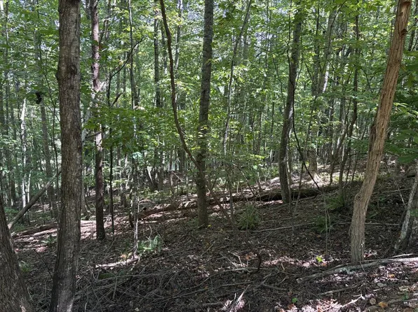 LOT 14 White Oak Dr, Warne, NC 28909