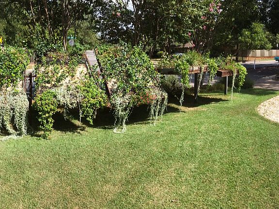 front yard planters