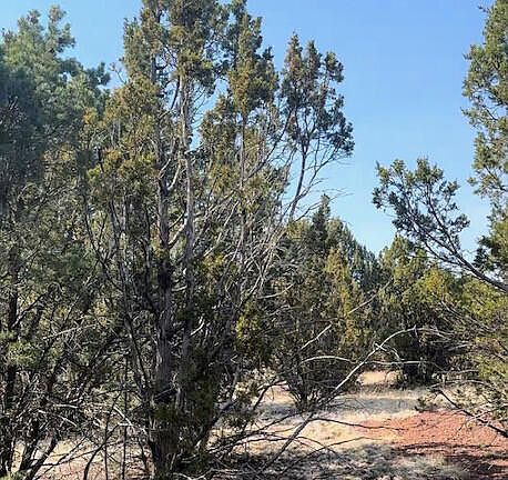 5th image of 1462 E Barbara Rd