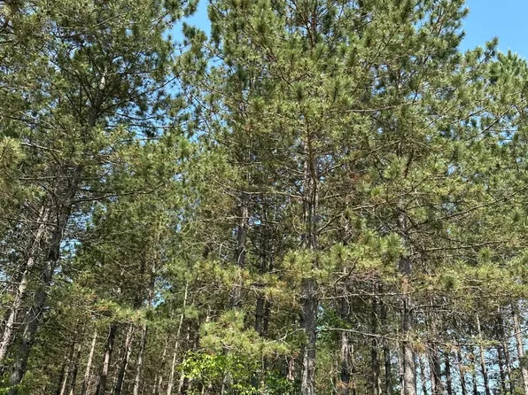Lund Rd Lot 21, Tomahawk, WI 54487