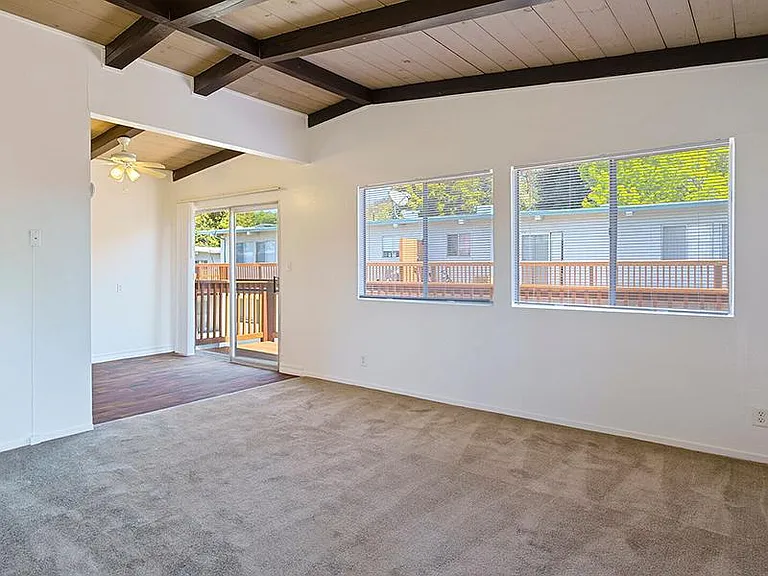 Manchester Apartments — Photo 11