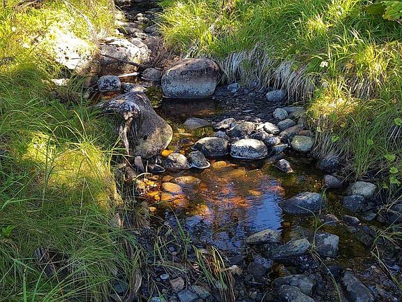 4th image of 12 Wrangell Only