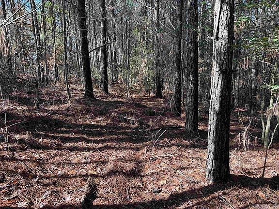 3rd image of (Undisclosed Address)