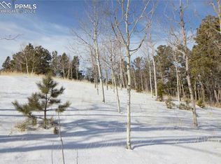 527 Klitowya Trl, Woodland Park, CO 80863