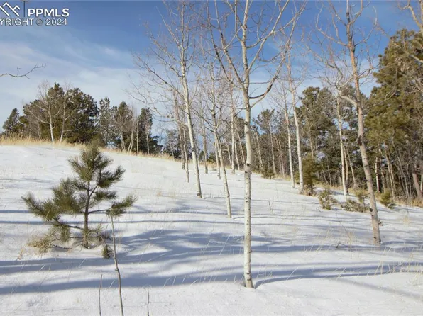 527 Klitowya Trl, Woodland Park, CO 80863