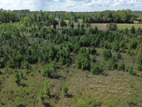 5th image of 1 Bethel Forest Rd