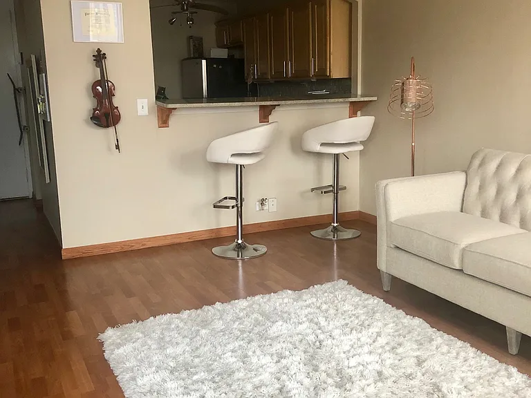 655 W Irving Park Rd #405 — Photo 3