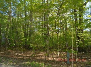 W Sassafras St, Ludington, MI 49431