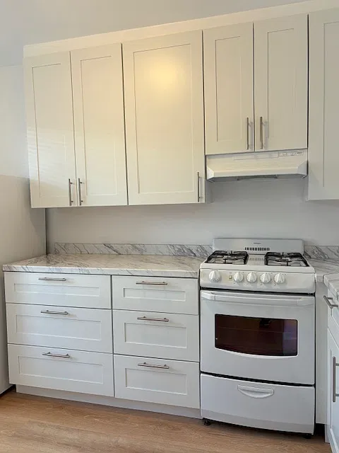 1 bed, 575 sqft, $2,495 — Photo 4