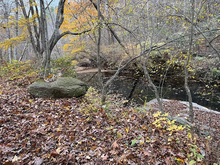 254 Calming Water Trl — Photo 9