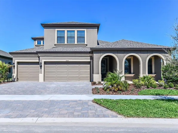 12887 Tortoise Shell Pl, Riverview, FL 33579