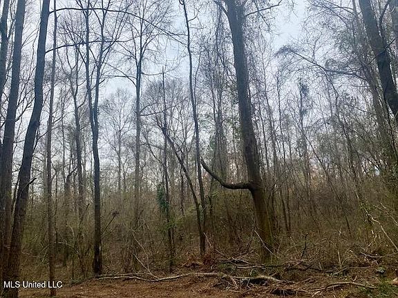 5th image of Crawley Rd