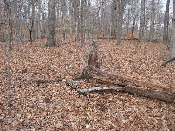 Looking along main ridge