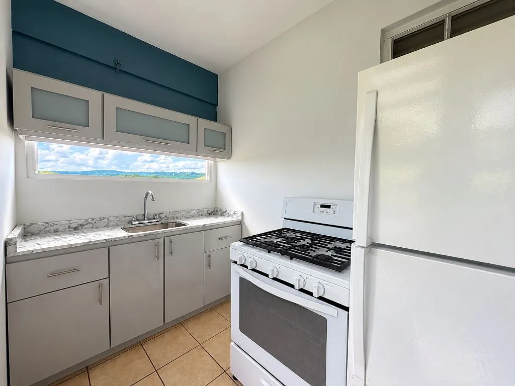 2 bed, 1.0 bath, 500 sqft, $800 — Photo 4