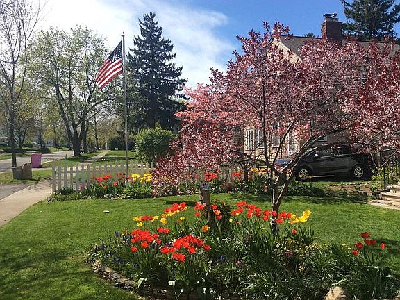 another front yard view