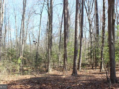 7 Brigantine Blvd, Greenbackville, VA, 23356