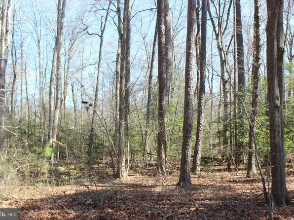 7 Brigantine Blvd, Greenbackville, VA 23356