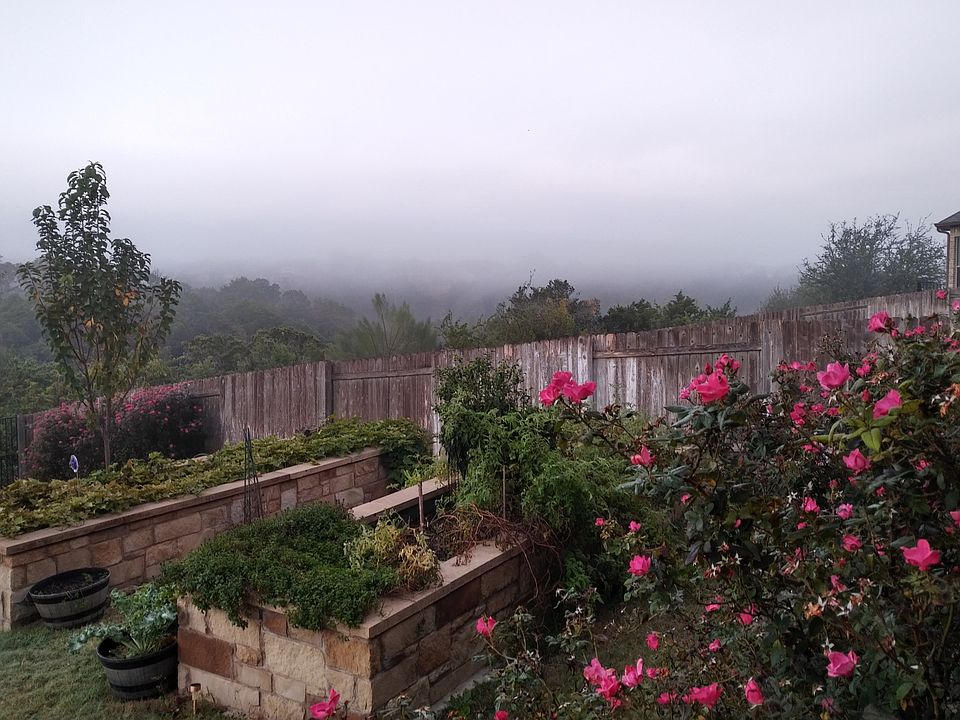 Fog rolling in along the gre