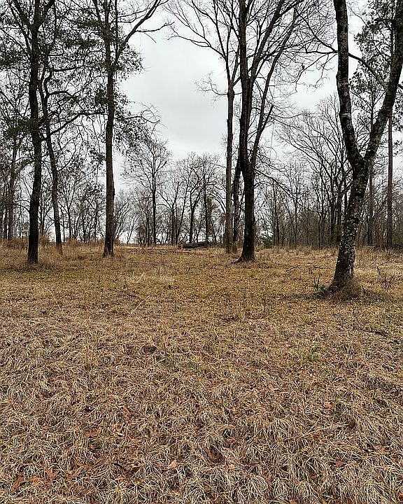 1st image of 613 Riverview Lndg Lot 46