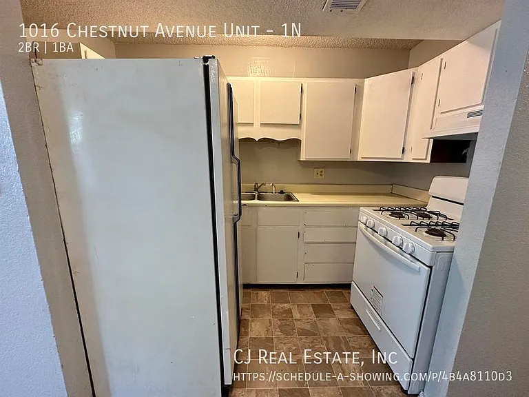 1016 Chestnut Ave #1N — Photo 5