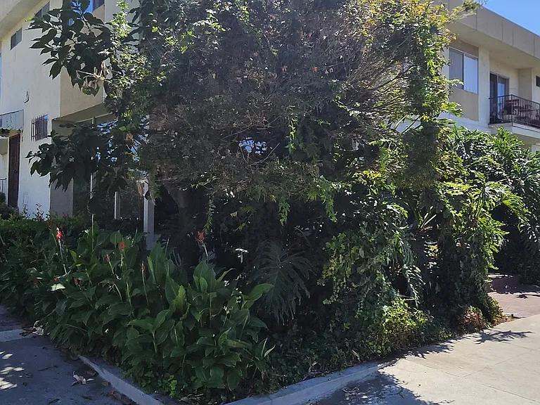 5050 Romaine St #1 — Photo 10
