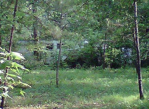 3rd image of Thornwood Dr
