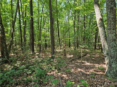 5.6 Meadow Creek Rd LOT 1, Wingina, VA, 24599