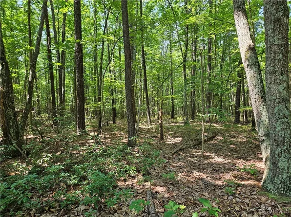 5.6 Meadow Creek Rd Lot 1, Wingina, VA 24599