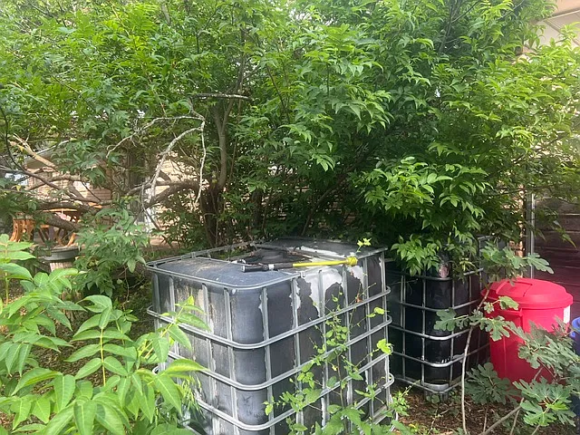 two rain water collection tanks