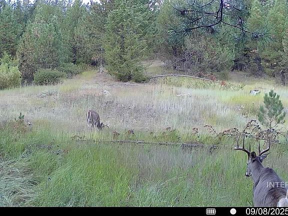 5th image of Smith Ferry Dr