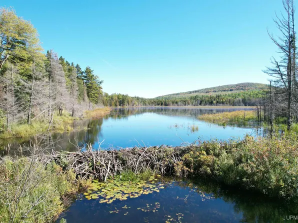 Mandan Rd, Copper Harbor, MI 49918